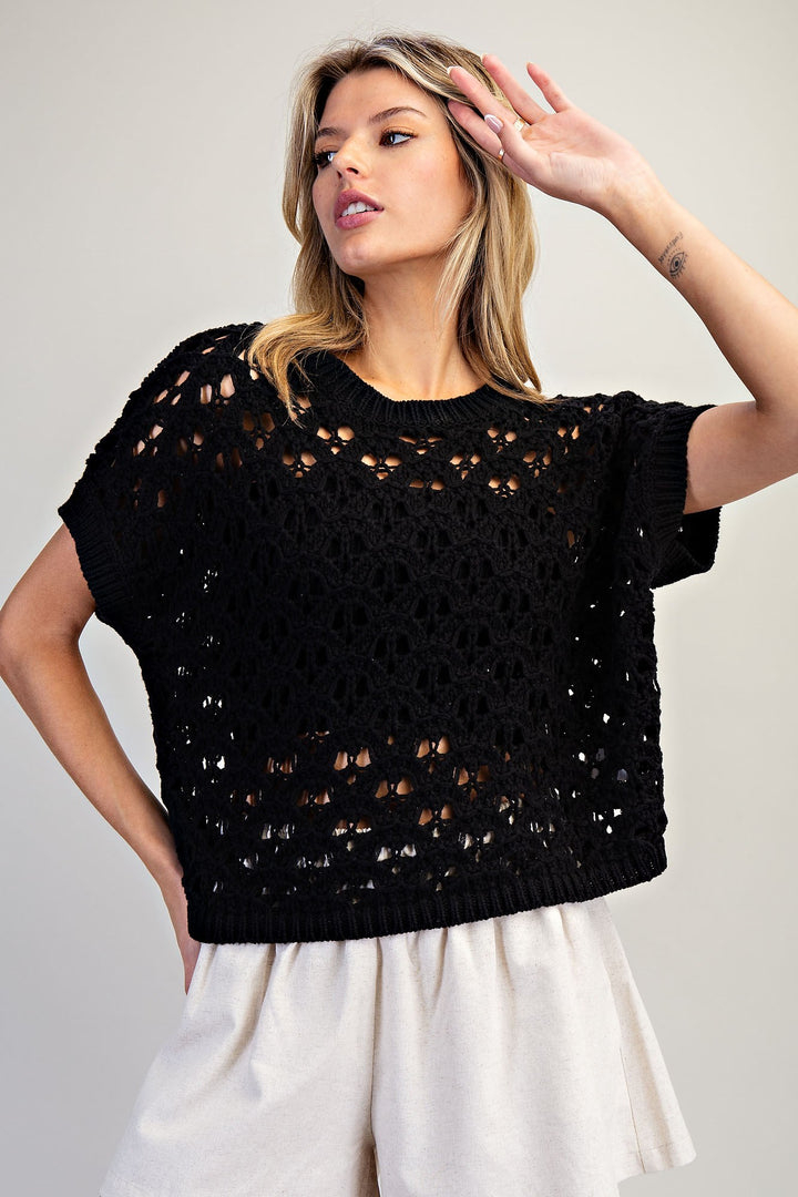 Crochet Open Knit Short Sleeve Sweater