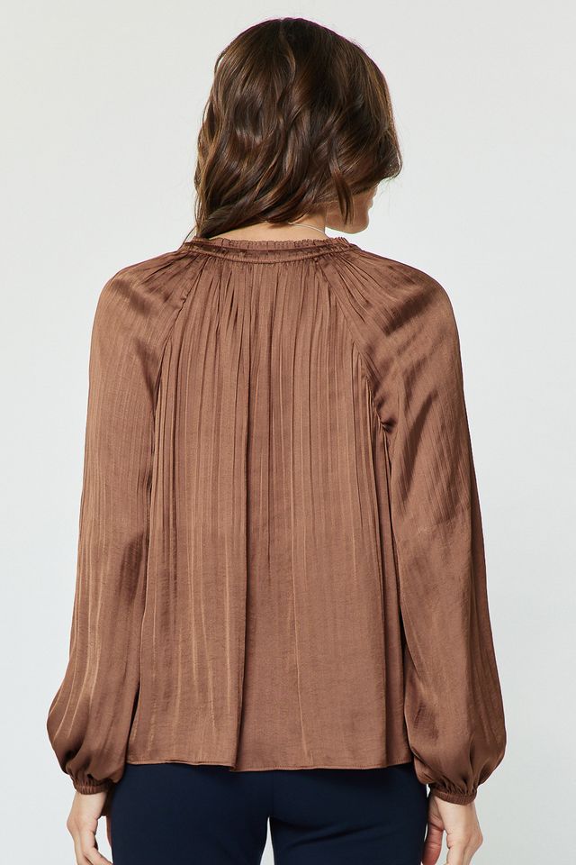 Pleated Long Sleeve Blouse