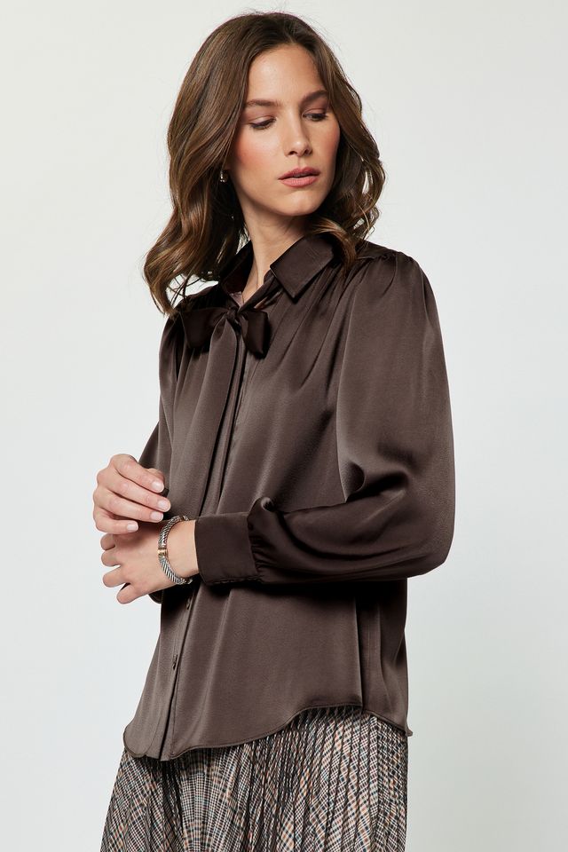 Satin Button Down Blouse w/ Tie