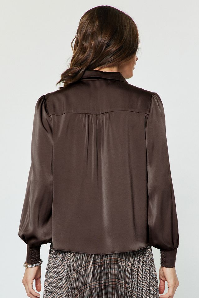 Satin Button Down Blouse w/ Tie